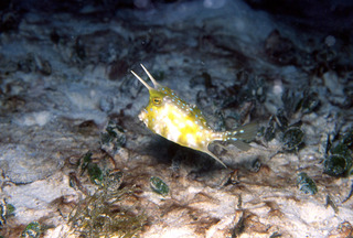 020915-3.jpg
