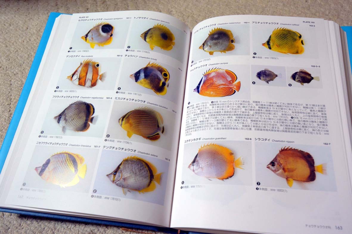 南紀の魚目録: <Font Size=