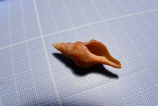190127-1.jpg