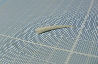 190221-1.jpg