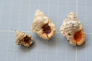 190407-1.jpg