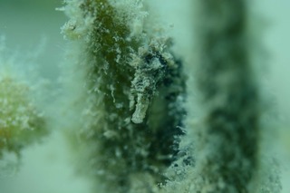 190728-1.jpg